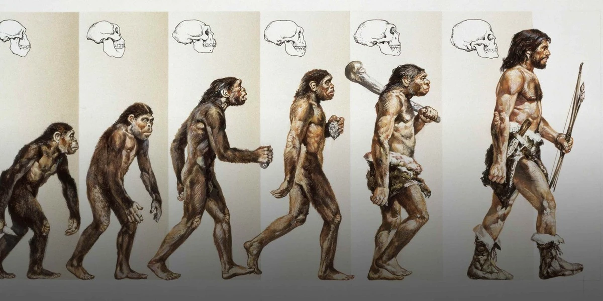 krewneandertalc-extra-1.webp Krew Neandertalczyka w Twoich żyłach. Tajemnicze krzyżowanie wyjaśnione po raz pierwszy - image 1