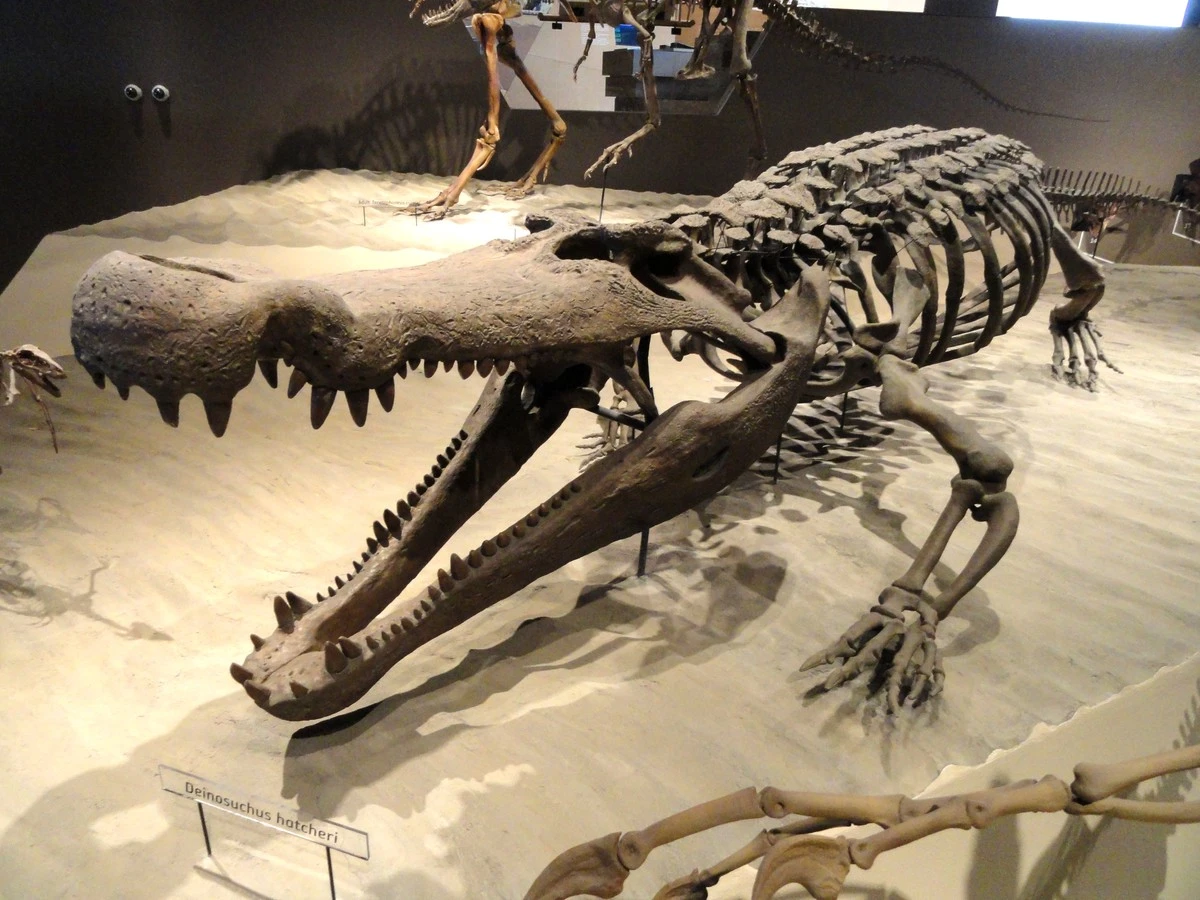 tenpradawnygadz-extra-1.webp Ten pradawny gad z Arizony łudząco przypominał dinozaury? Naukowcy odkryli nowy gatunek - image 1