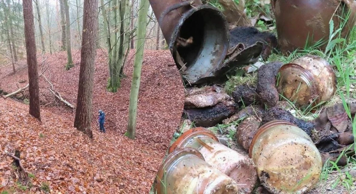 Zaginione Miasto w Polskiej Puszczy: Archeolodzy Odkryli Sensację!