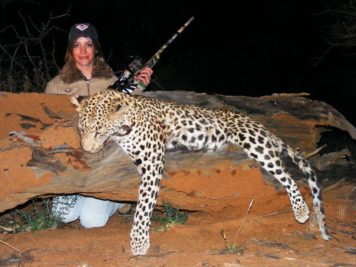 7kluczowychrozn-extra-1.webp 7 kluczowych różnic między lampartem a jaguarem. Jedna cecha jest zadziwiająca! - image 1