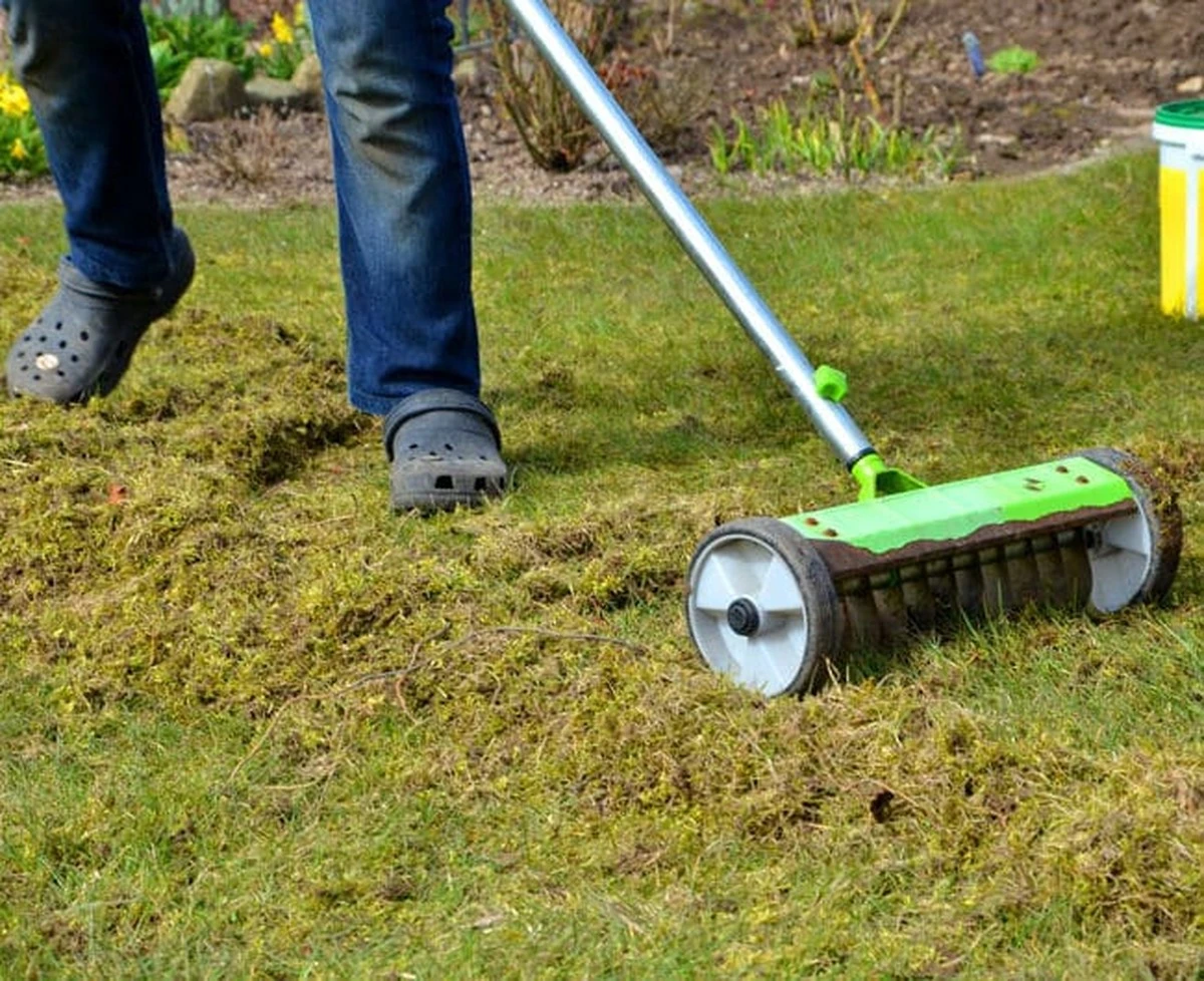 Domowy sposób na mech po zimie: Wymieszaj ocet z wodą – efekt Cię zaskoczy - image 1