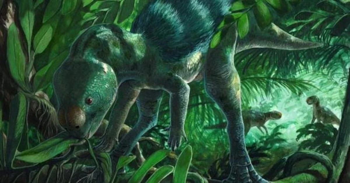 120 milionów lat temu po ziemi stąpały dinozaury wielkości kota. Naukowcy właśnie je odkryli!
