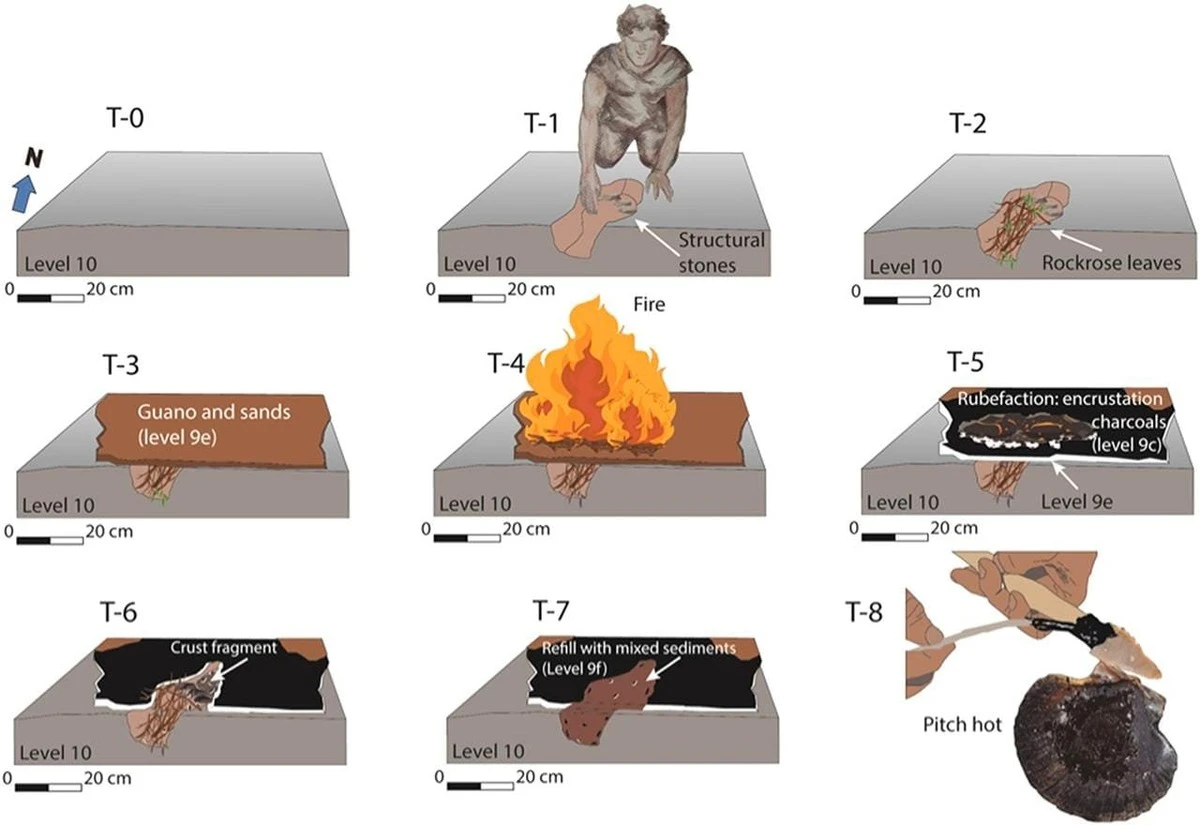 odkrytofabryken-extra-1.webp Odkryto „fabrykę” neandertalczyków sprzed 125 tys. lat. Tłuszcz zwierzęcy był kluczem do przetrwania - image 1
