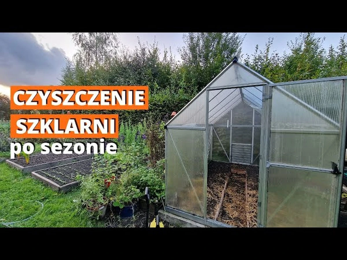 Dlaczego Twoja szklarnia potrzebuje wiosennej kąpieli? Sekret czystości, który podwoi plony - image 1