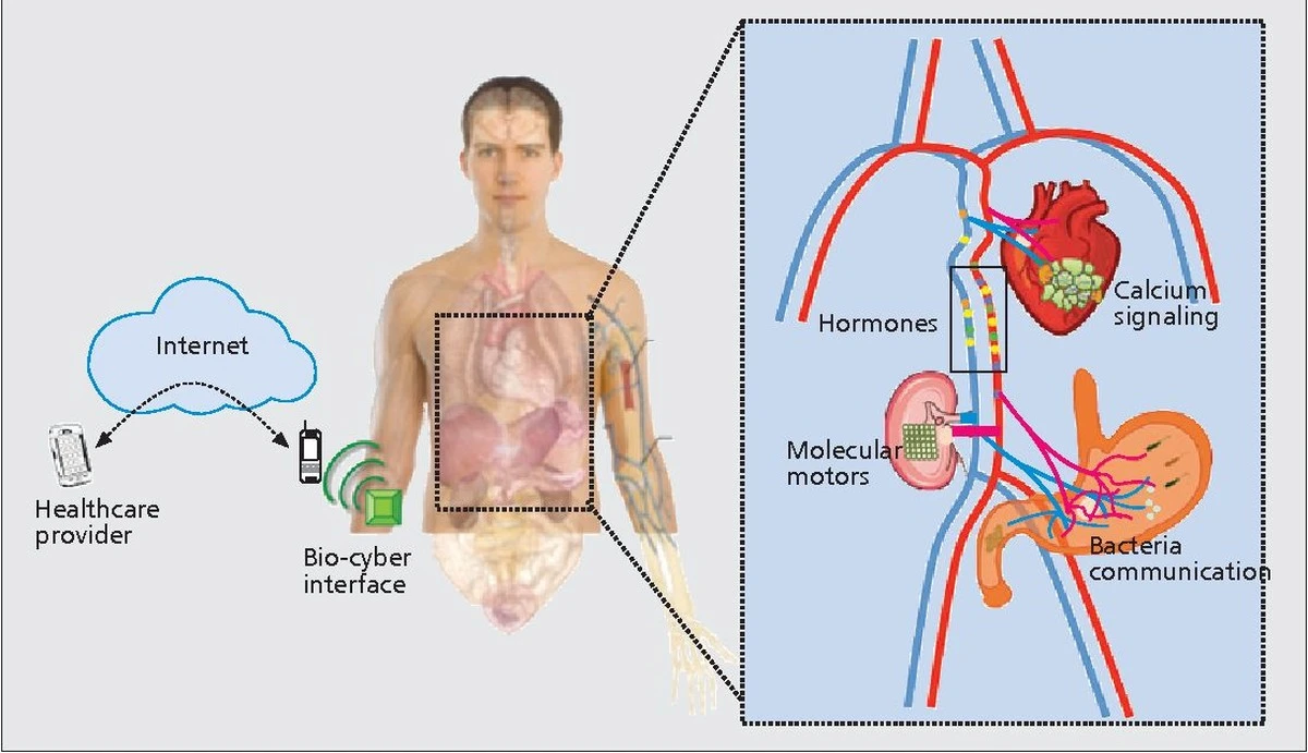 grzybyjakintern-extra-1.webp Grzyby jak «internet biologiczny»: brytyjscy naukowcy odkryli, jak potrafią komunikować się za pomocą ponad 50 słów! - image 1