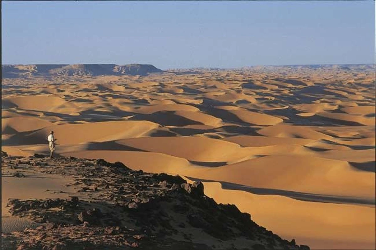 sahara8tyslatte-extra-1.webp Sahara 8 tys. lat temu: gigantyczna pustynia była zielona i deszczowa - image 1