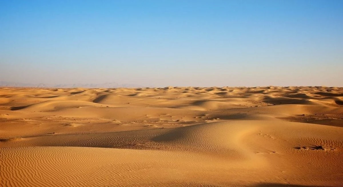 Sahara 8 tys. lat temu: gigantyczna pustynia była zielona i deszczowa