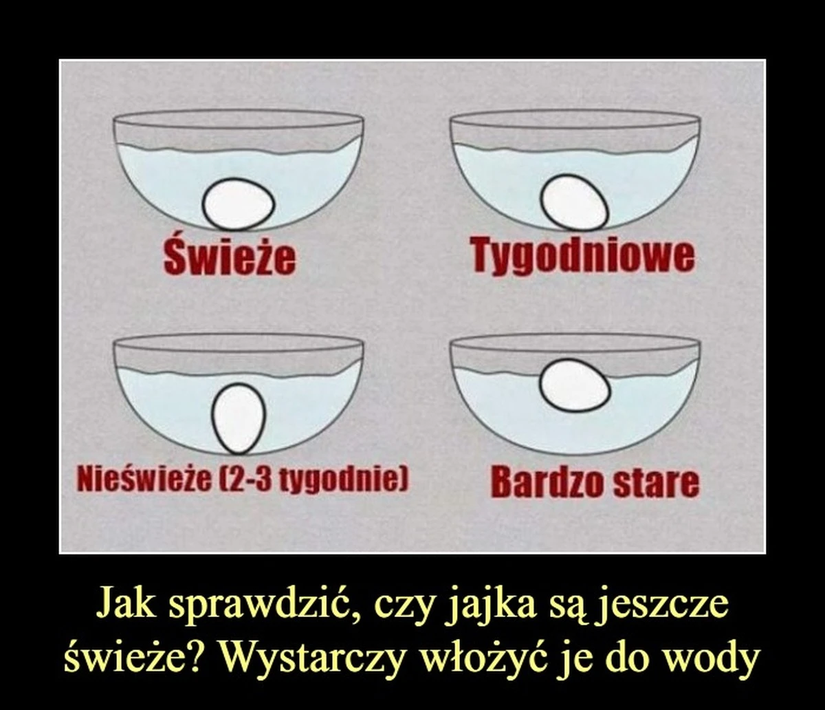 Jak sprawdzić, czy jajko jest zepsute, nie rozbijając skorupki? - image 1