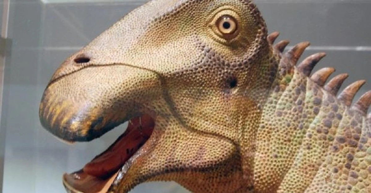 Nigersaurus: Dinozaur z setkami zębów, który zmienił nasze myślenie o roślinożercach
