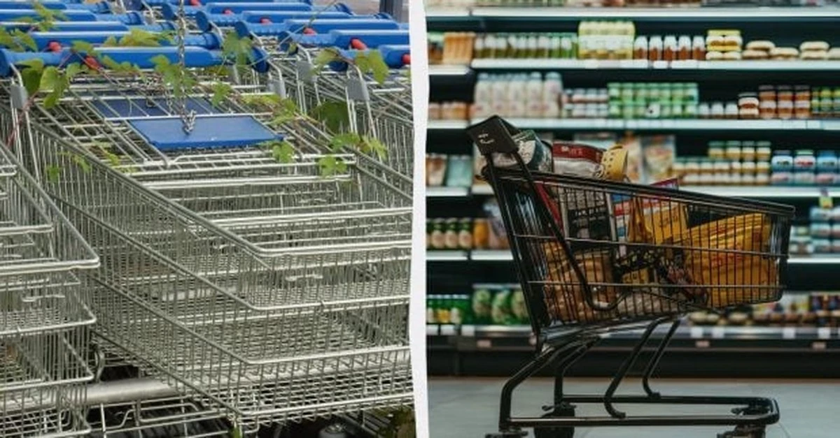 Paradoks wózka sklepowego: test na uczciwość, który zdradza wszystko o Tobie