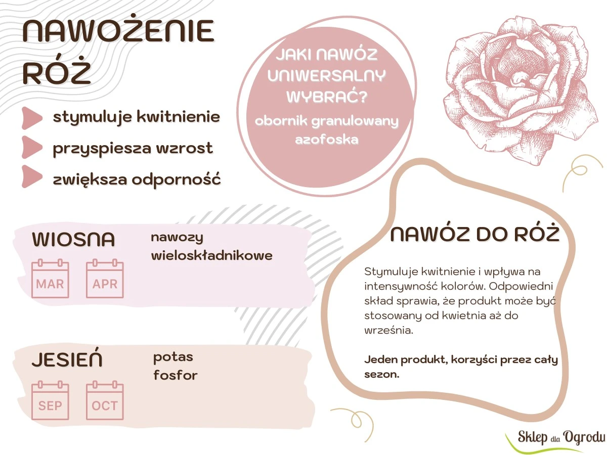 dwieyzkicukrui1-extra-1.webp Dwie łyżki cukru i 10g drożdży: Twój sekret na róże obsypane kwieciem przez cały sezon - image 1