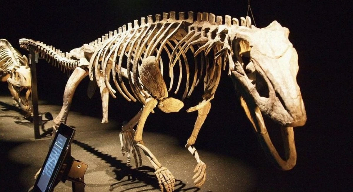 Ten pradawny gad z Arizony łudząco przypominał dinozaury? Naukowcy odkryli nowy gatunek