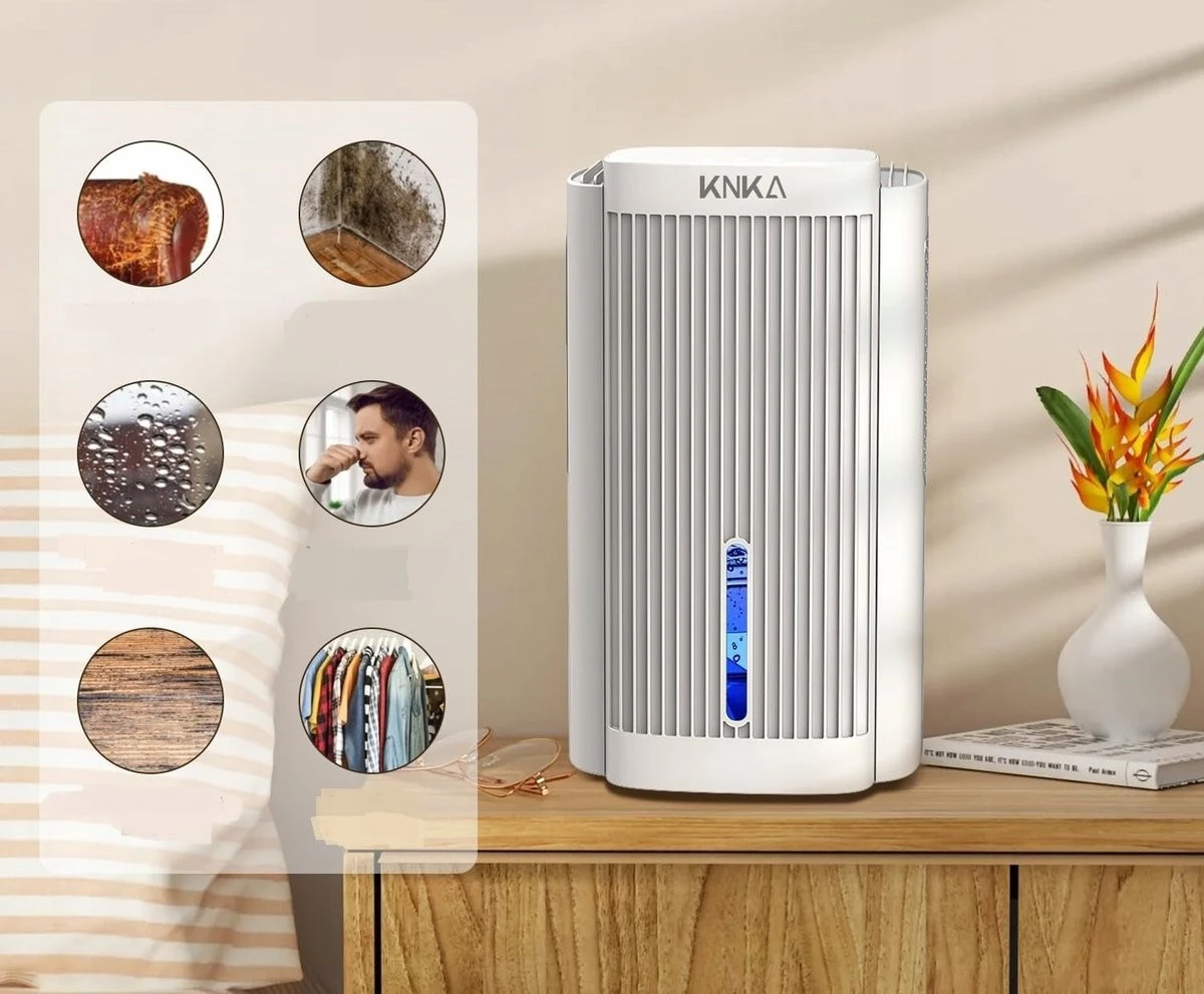 Koniec z wilgocią i pleśnią: ten 12-litrowy osuszacz powietrza z Amazon w promocji za 85€! - image 1