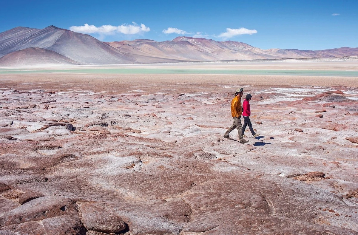 Jak robaki z pustyni Atacama uczą nas o przetrwaniu w ekstremalnych warunkach - image 1