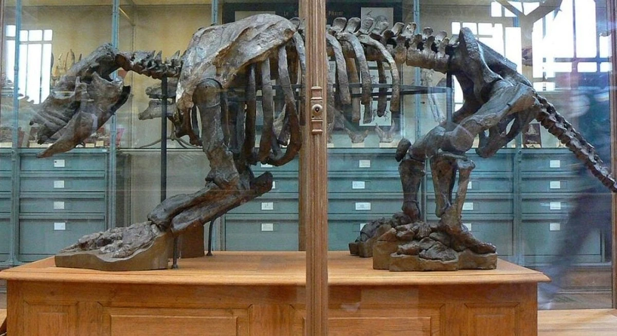Naukowcy odkryli tajemniczą mieszankę, w której Karol Darwin przechowywał swoje skarby