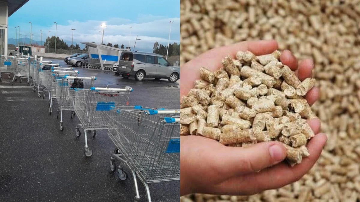 Gorzej niż z paliwem: Dlaczego Polacy stoją w kolejkach po... pellet?