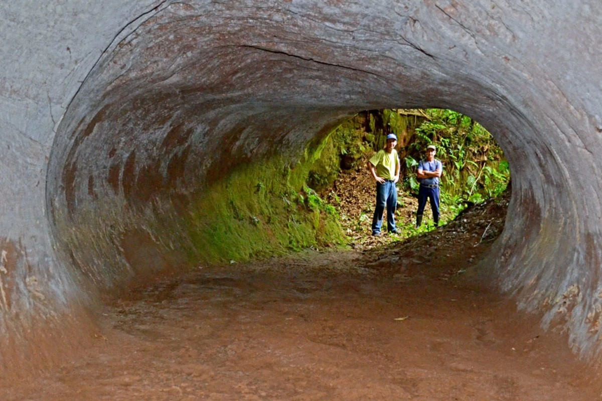 tajemniczetunel-extra-1.webp Tajemnicze tunele pod Brazylią: odkrycie, którego nie stworzyła ani natura, ani ludzie - image 1