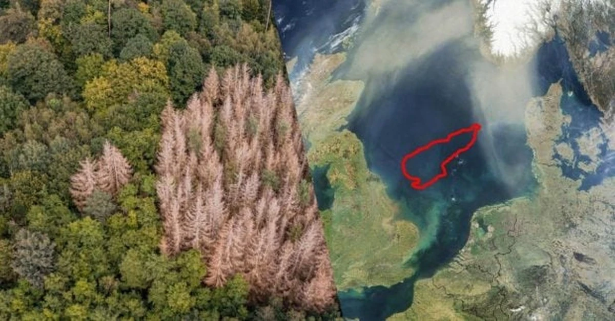 Doggerland: odkryty na nowo zaginiony świat pod dnem Morza Północnego