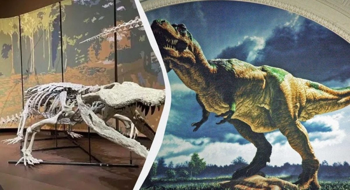 Dinozaury nie miały szans? Poznaj "zjadacza dinozaurów", gigantycznego rekina Ameryki