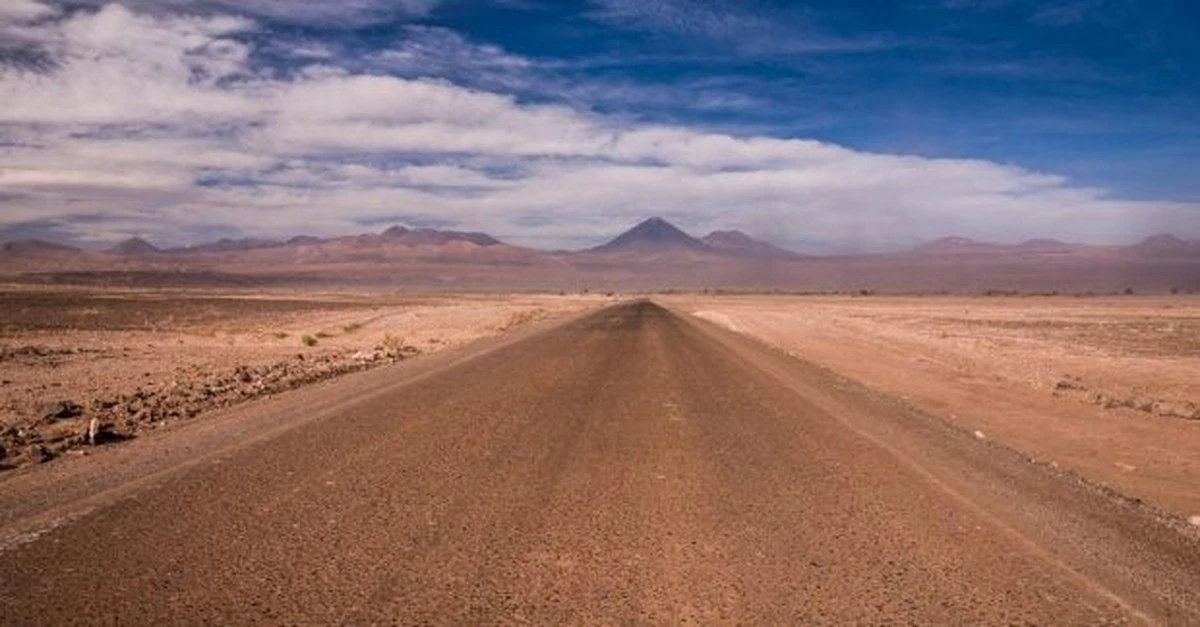 Pustynia Atacama skrywa życie: Niespodziewane odkrycie naukowców w najsuchszym miejscu na Ziemi