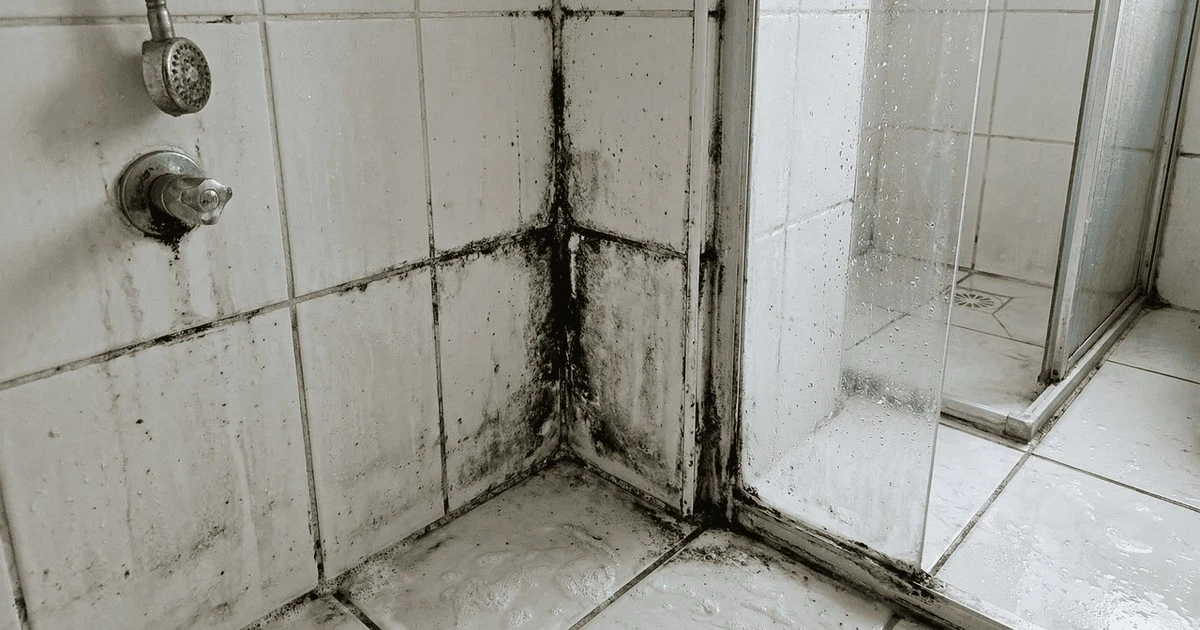 Dlaczego doświadczeni majsterkowicze zawsze wciskają jedną kroplę płynu za silikon?