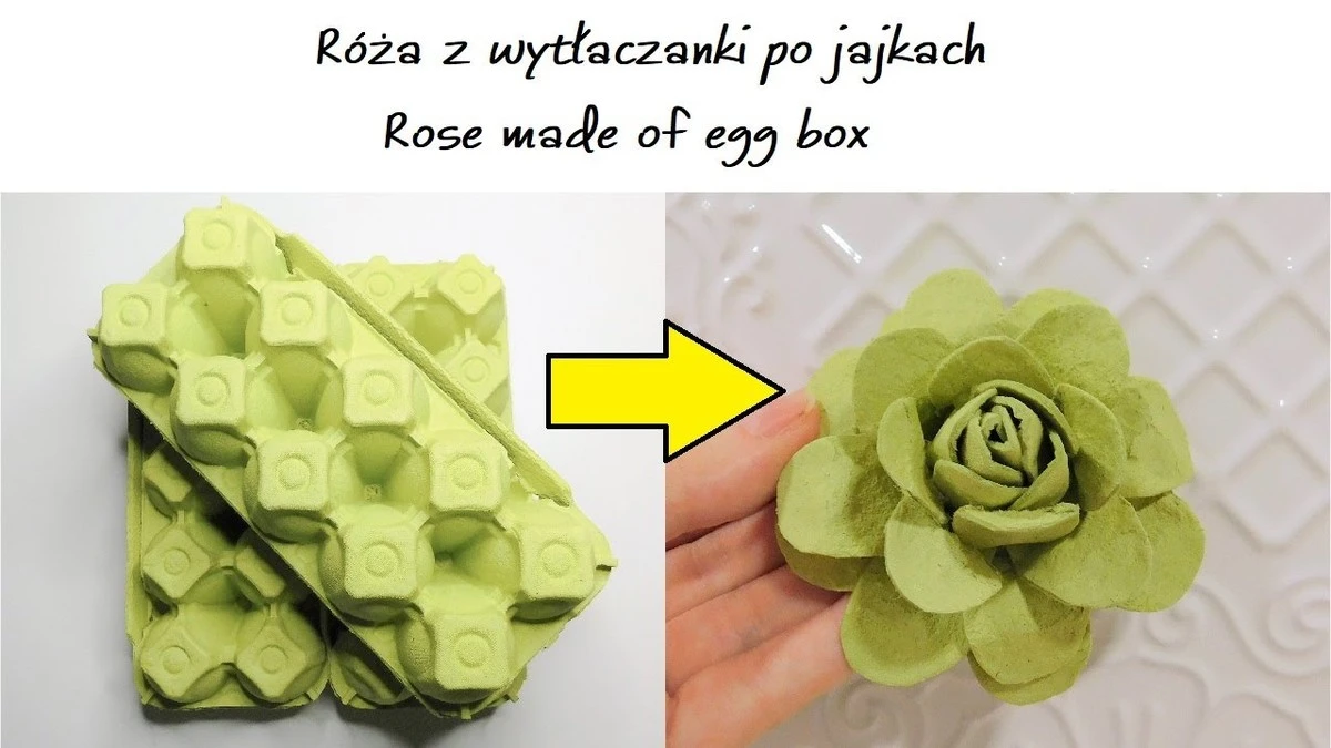 Nigdy więcej pustych wytłaczanek po jajkach. Pomysł, który odmienił moją przedpokoju! - image 1