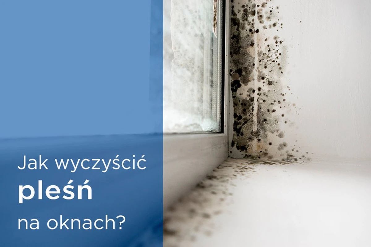 Sól i liść laurowy: domowy sposób na pleśń na oknach, który pokochasz - image 1