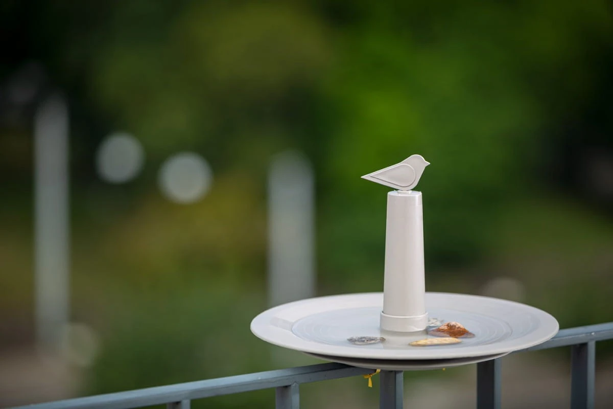 Jak zrobić gliniany poidełko dla kolibrów w 5 krokach, by przyciągnąć je na balkon - image 1