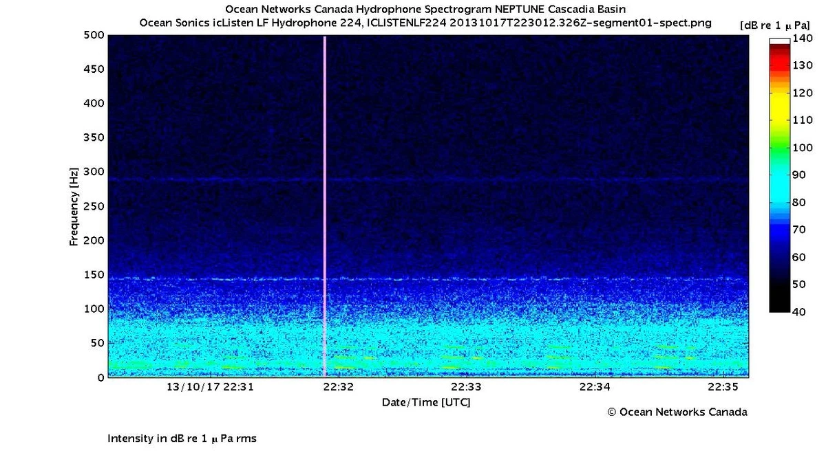 naukowcyodnalez-extra-1.webp Naukowcy odnaleźli nagranie z lat 40. z pieśnią wieloryba – co skrywa mrok oceanu? - image 1