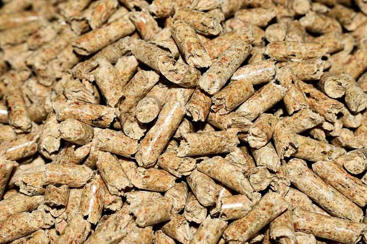 Nie tylko zima: Dramatyczna walka o pellet na Sardynii. Ceny szybują, a konsumenci tracą.