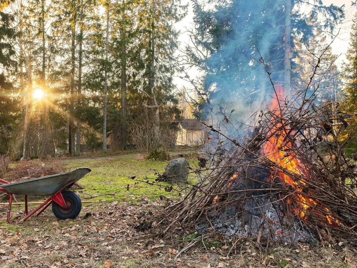 Spalanie gałęzi na działce ROD 2026: Grozi Ci mandat do 5000 zł, a tego nie wiedziałeś