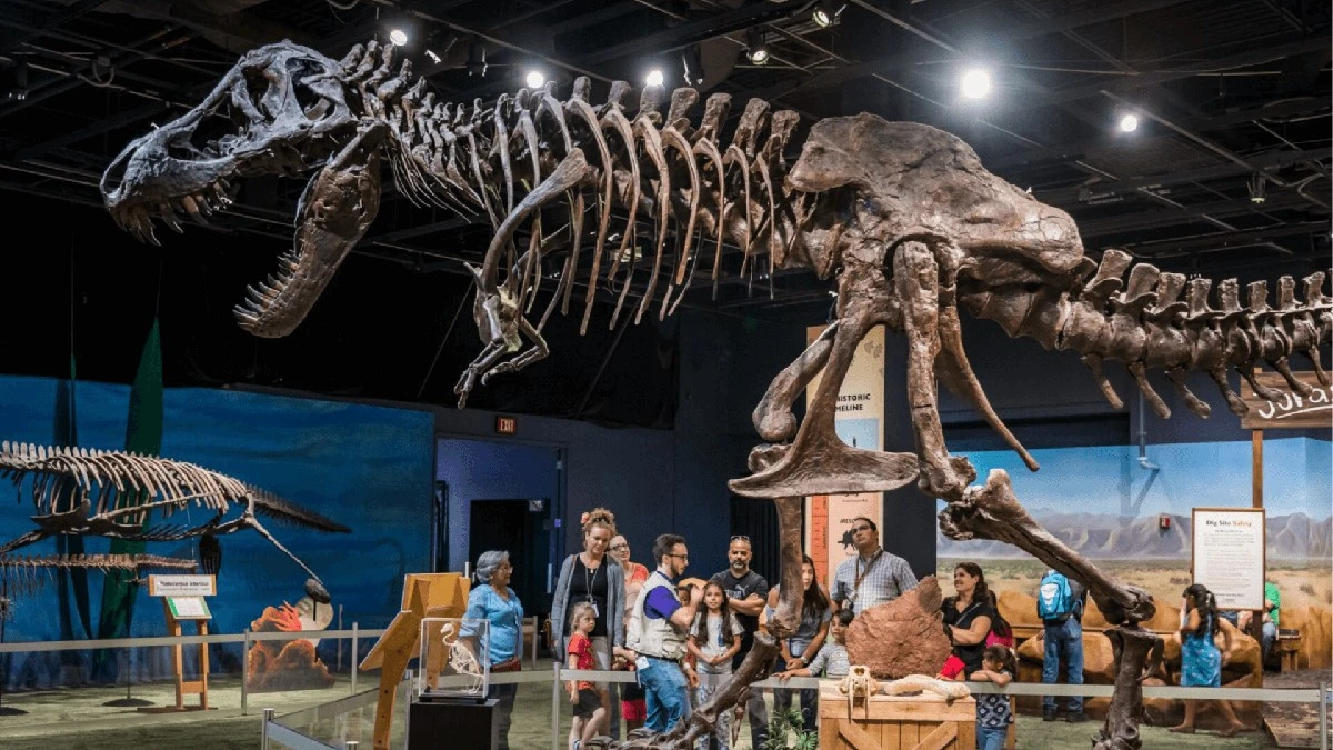 najstarszytrexw-extra-1.webp Najstarszy T. rex w Ameryce Północnej: Ten gigant zmienił nasze postrzeganie króla dinozaurów - image 1