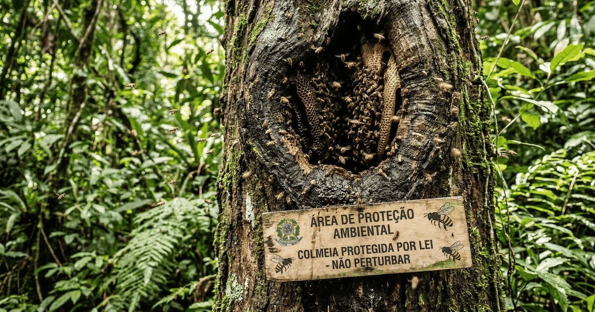 Amazonas: Pierwsze owady na świecie zyskują prawa gatunku