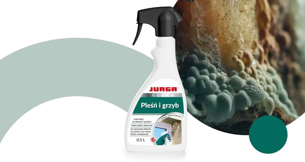 Ocet czy wybielacz: co likwiduje pleśń u źródła, a co tylko maskuje plamę? - image 1