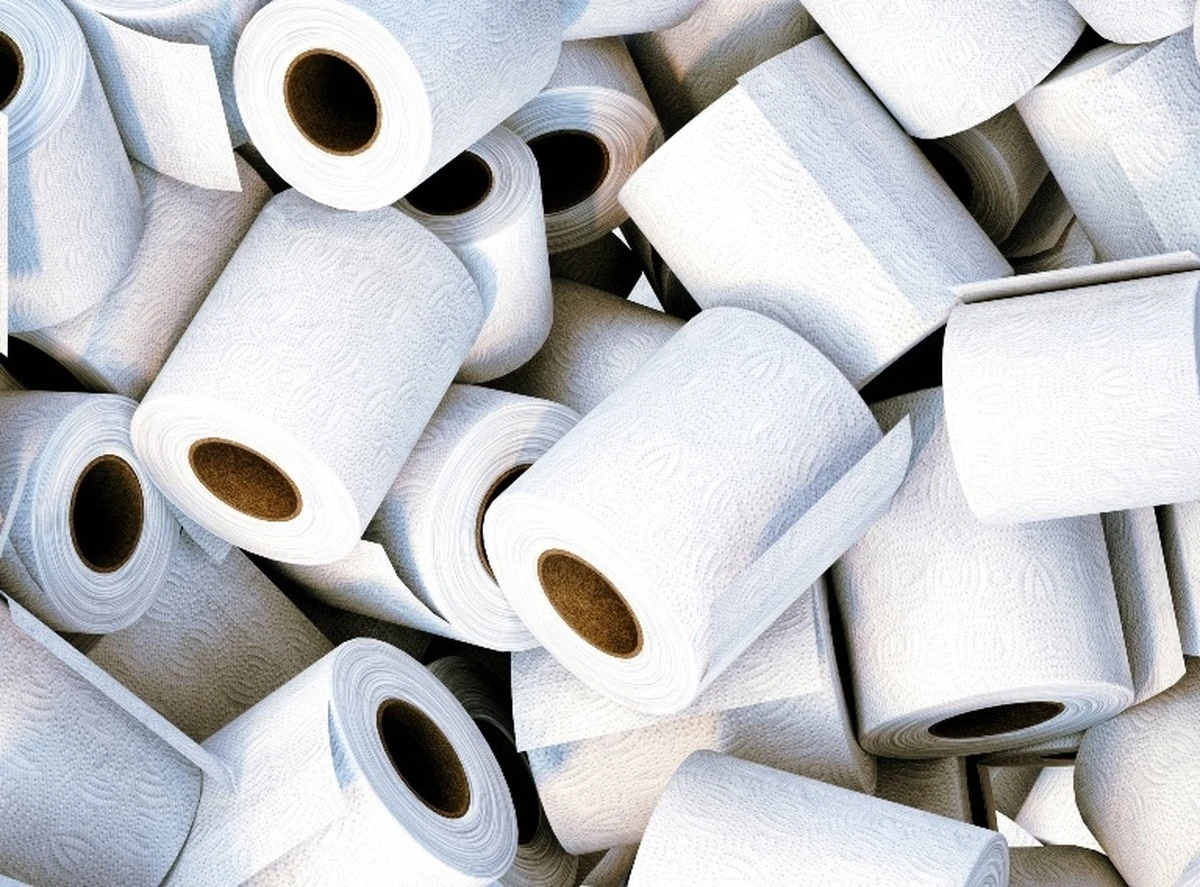 papiertoaletowy-extra-1.webp Papier toaletowy w toalecie? Dlaczego w Polsce robimy to inaczej niż w większości świata - image 1
