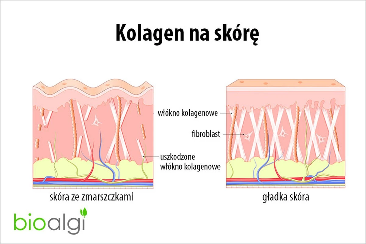 Kolagen w proszku czy w kapsułkach? Sekret jędrnej skóry po 30-tce - image 1