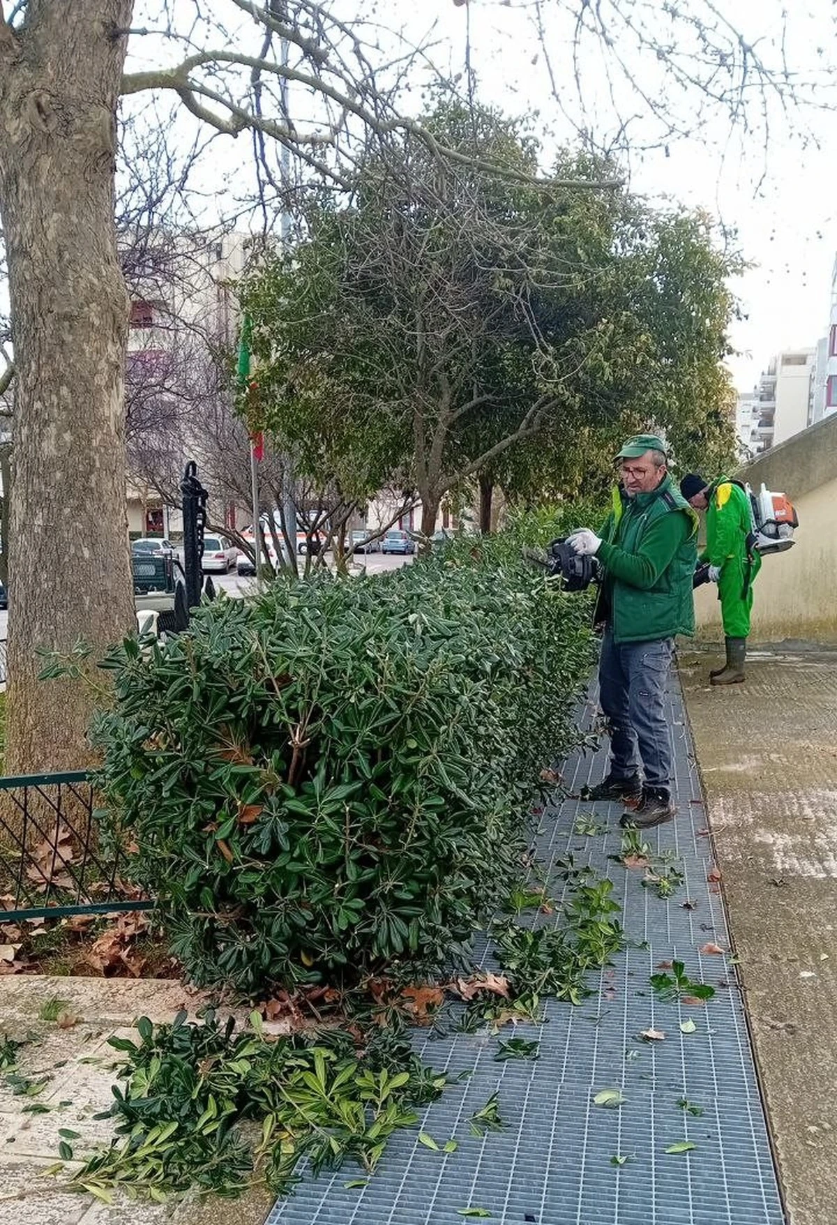 Martina Franca: Ukryte zielone skarby i jak o nie dbać