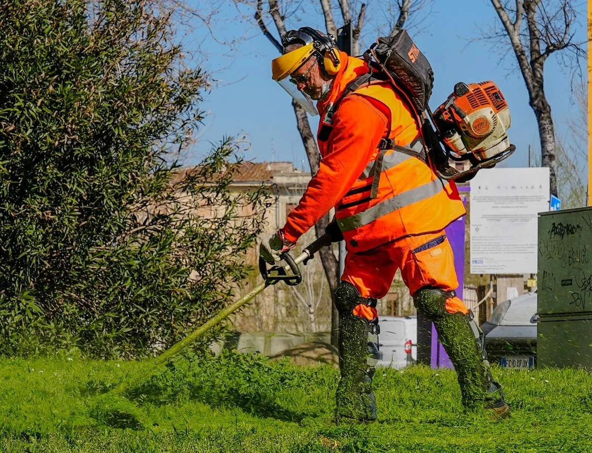 Pracowita wiosna na prato: dlaczego trawa rośnie szybciej i co to oznacza dla Ciebie