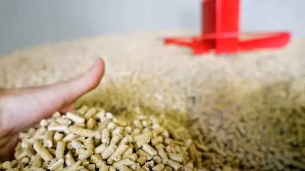 Pellet w ogni domu: dlaczego brakuje go na Sardynii i czy możesz temu zaradzić?