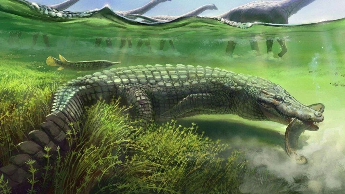Dinozaury nie miały szans? Poznaj 