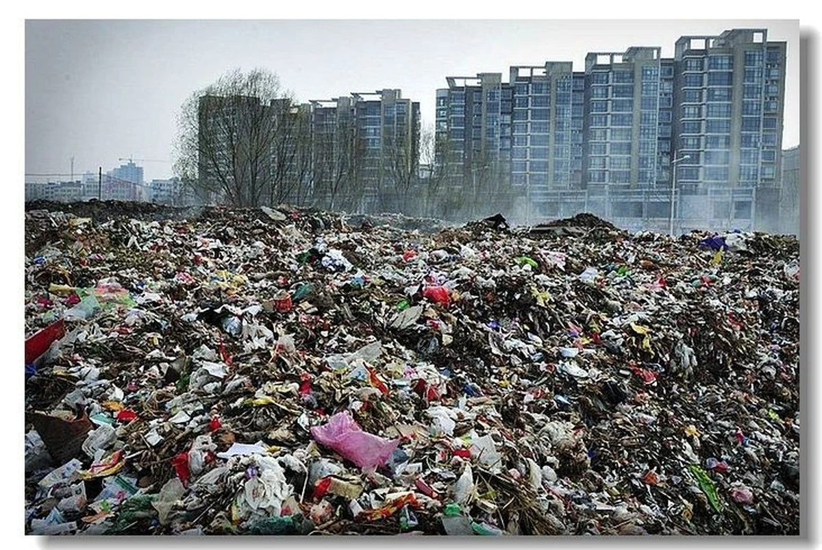 ogrodwolnyodkar-extra-1.webp Ogród wolny od karczowników: 4 metody, które ochronią Twoje rośliny przez całą zimę - image 1